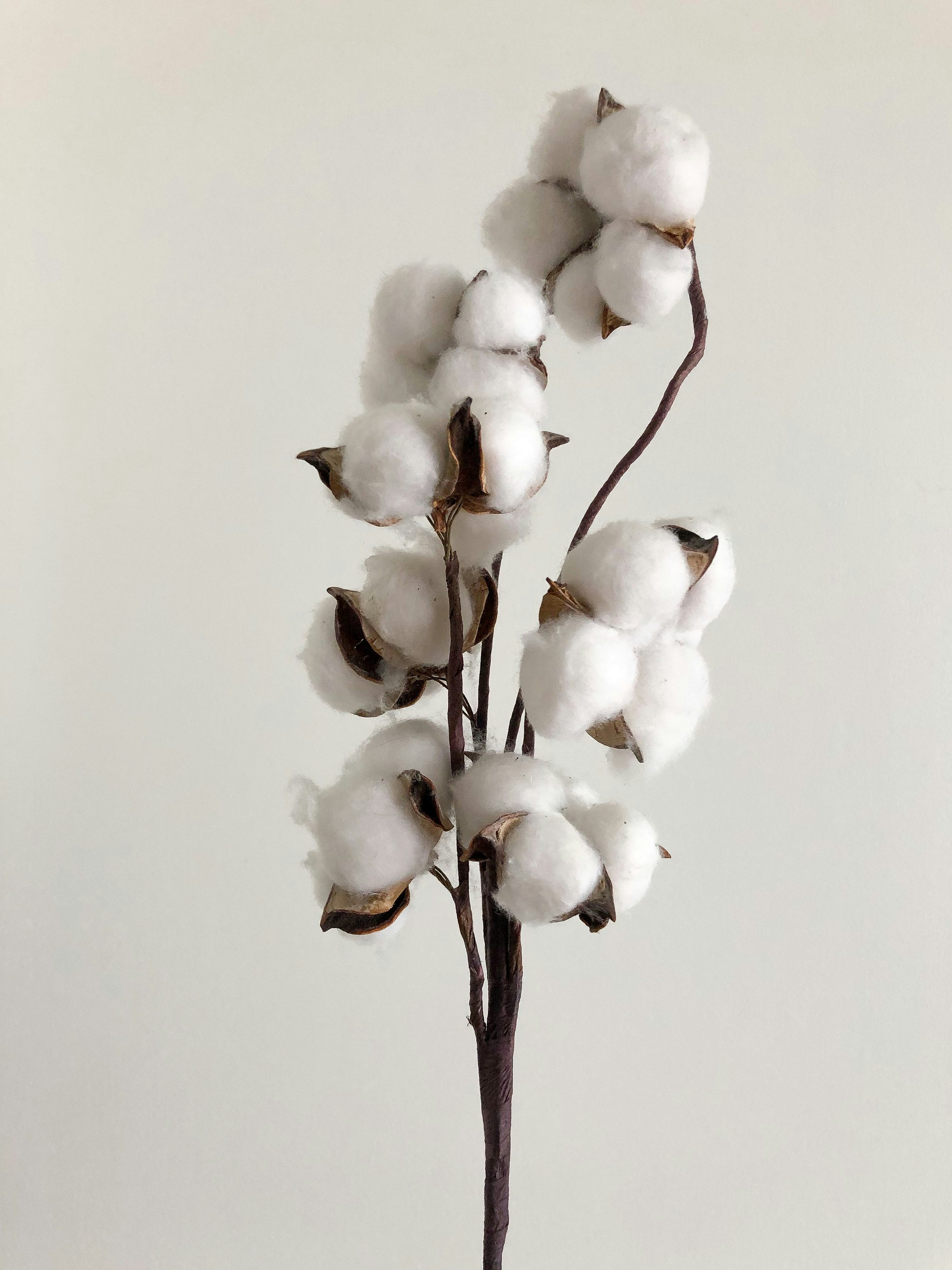 BCI cotton and sustainable fabric materials used in KBK Exports garment production